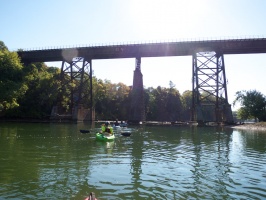 IMG 4665